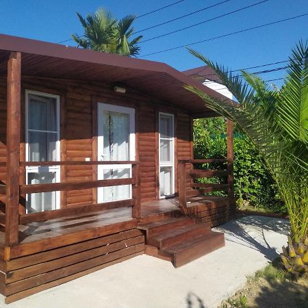 غاغرا Guesthouse Mira المظهر الخارجي الصورة