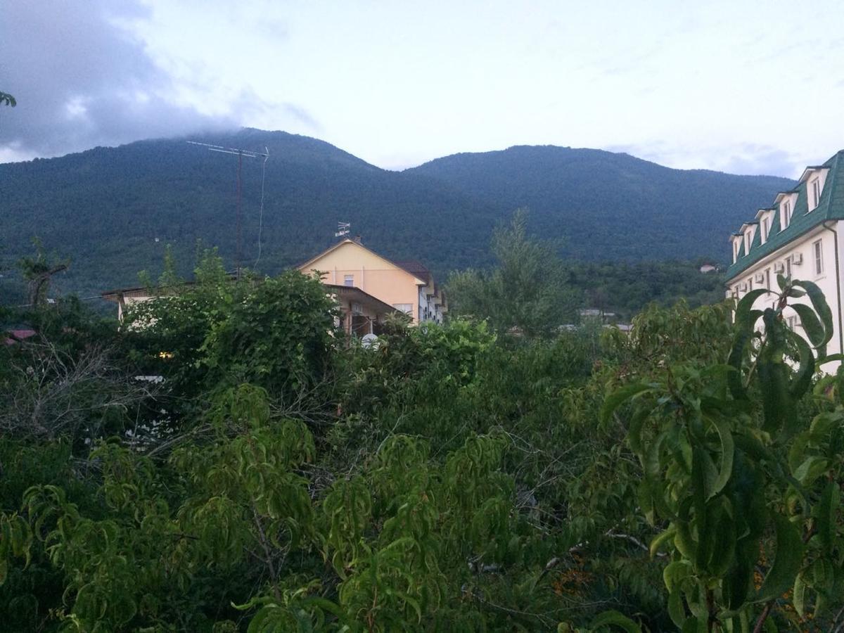 غاغرا Guesthouse Mira المظهر الخارجي الصورة