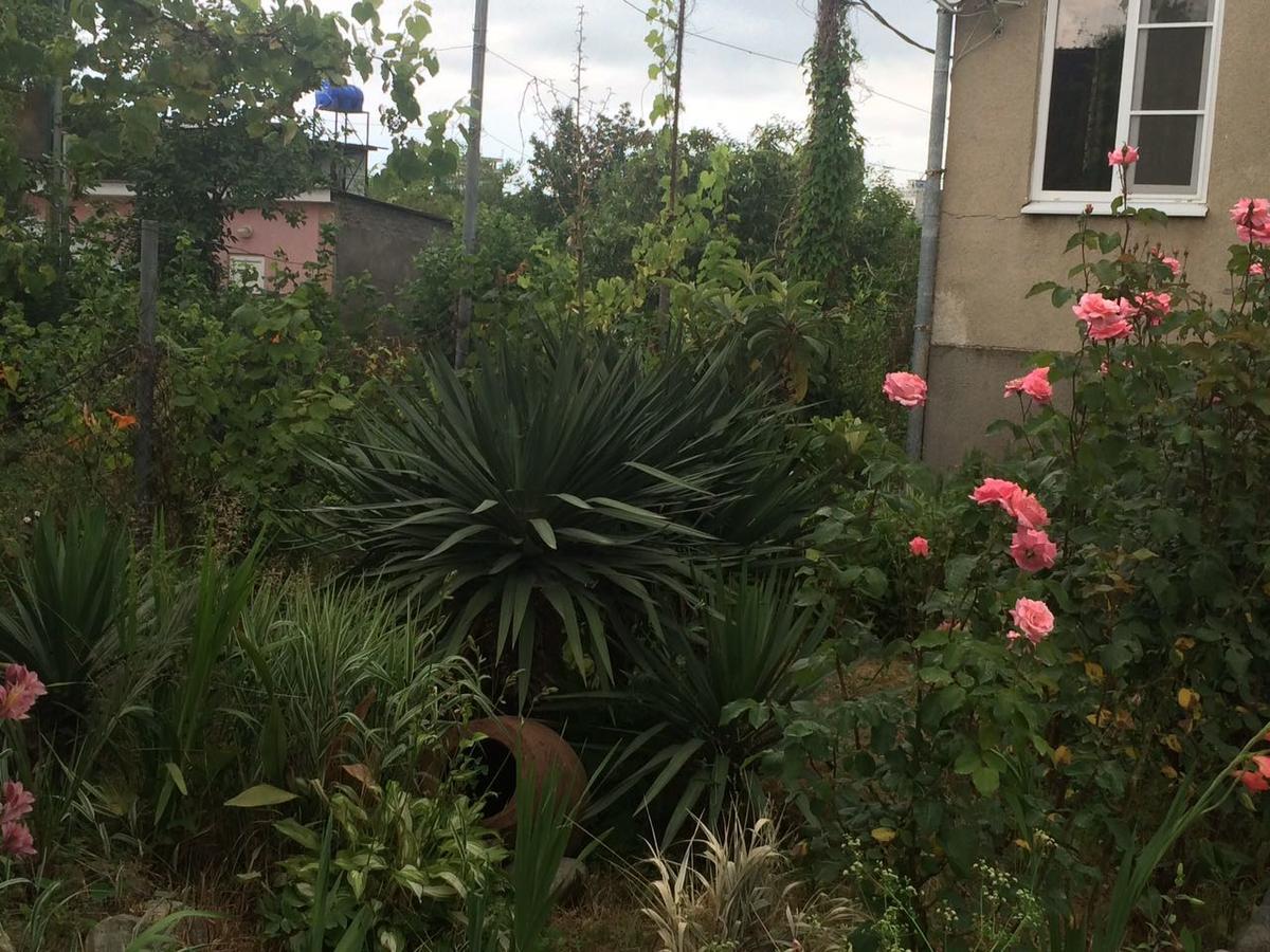 غاغرا Guesthouse Mira المظهر الخارجي الصورة