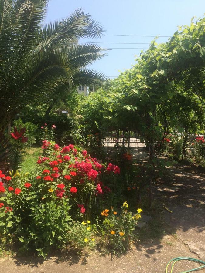 غاغرا Guesthouse Mira المظهر الخارجي الصورة