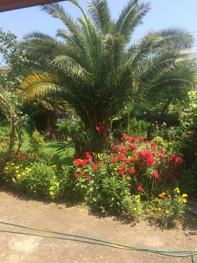 غاغرا Guesthouse Mira المظهر الخارجي الصورة