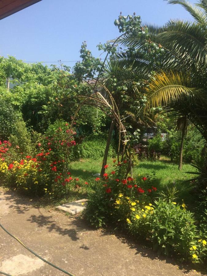 غاغرا Guesthouse Mira المظهر الخارجي الصورة